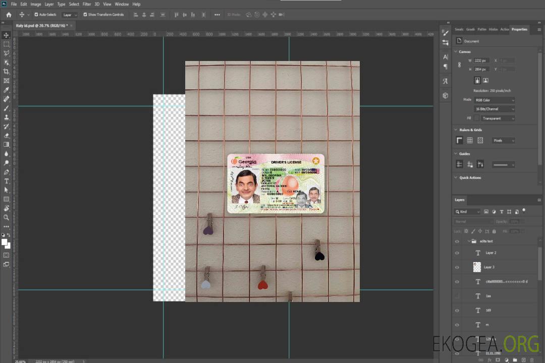 Permis de conduire USA Géorgie (2017-2019) photolook AVANT template